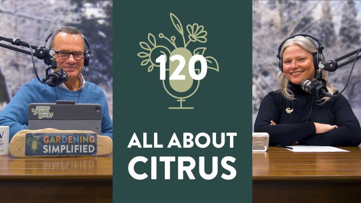 How to Be Successful Growing Citrus | 120