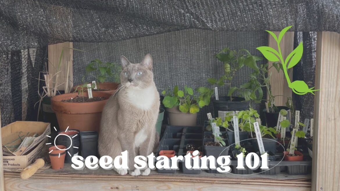 Seed Starting 101: My Soil Mix, Favorite Seed Companies, Container Sizes, & More Seed Starting 101: My Soil Mix, Favorite Seed Companies, Container Sizes, & More