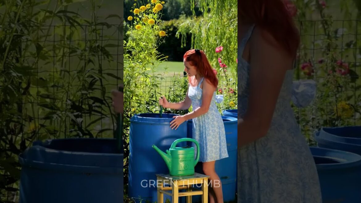 Let’s have a moist, luscious and pulpy garden! Let's have a moist, luscious and pulpy garden!