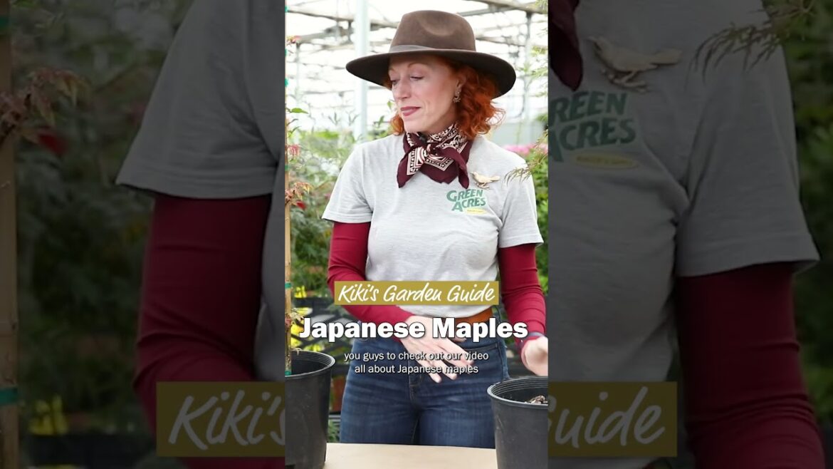 Kiki's Garden Guide to Japanese Maples