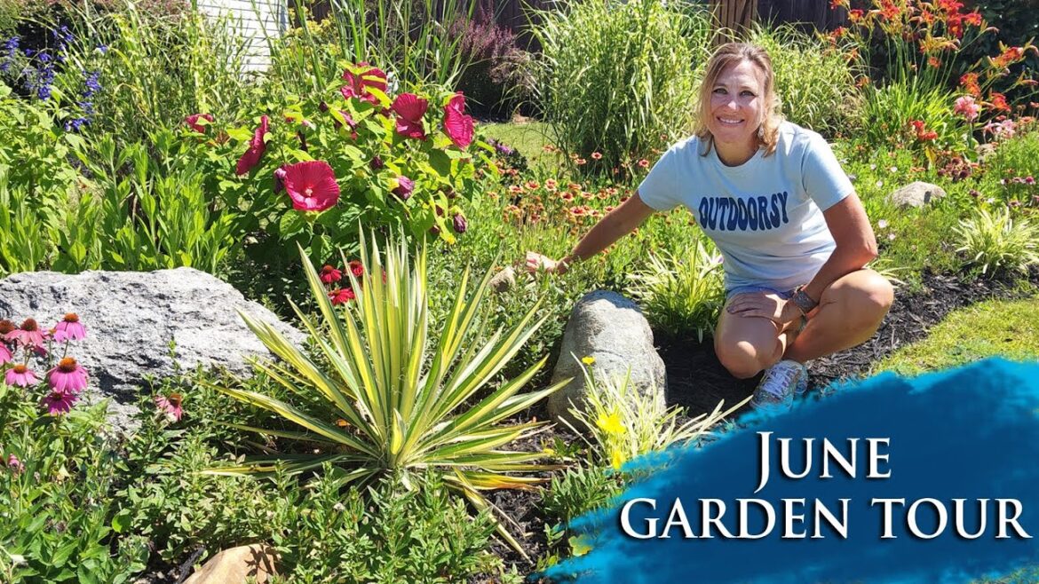 June Garden Tour | EXPLOSION of COLORS in the front yard of My Carolina Garden June Garden Tour | EXPLOSION of COLORS in the front yard of My Carolina Garden