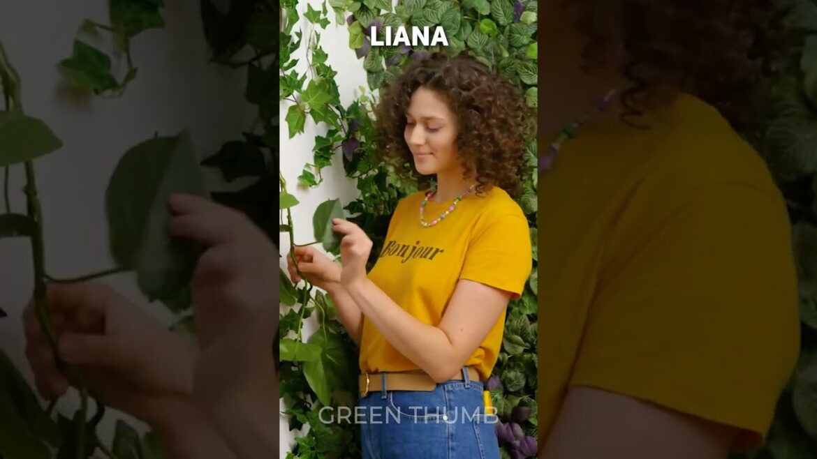 Incredible Gardening Tricks You’ll Love 🌱 Incredible Gardening Tricks You'll Love 🌱