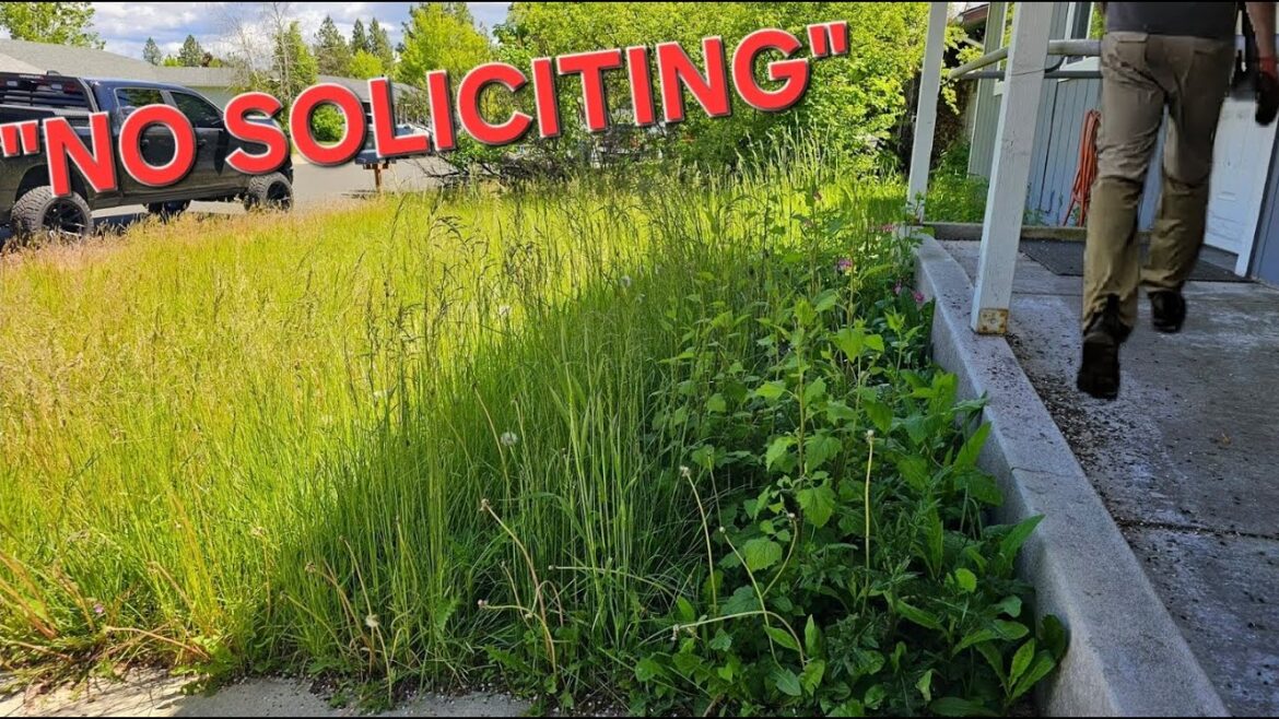 There Was A .001% CHANCE Someone Was Going To KNOCK & OFFER Them This...