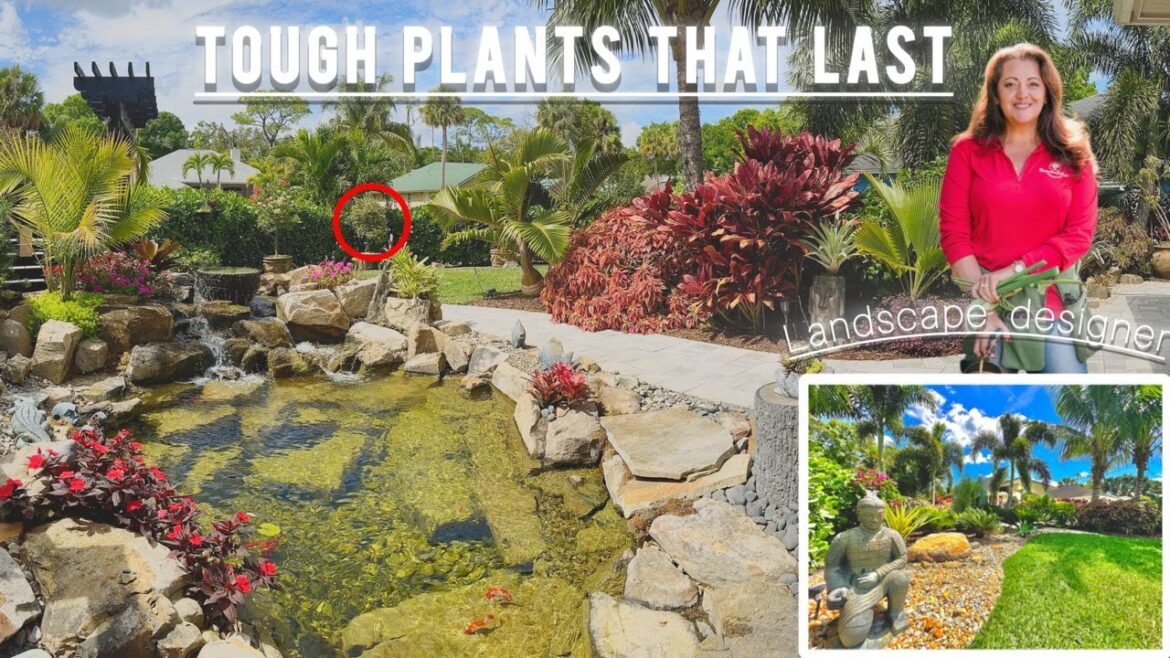 Stroll Through a LANDSCAPE DESIGNERS Front Yard 🌺