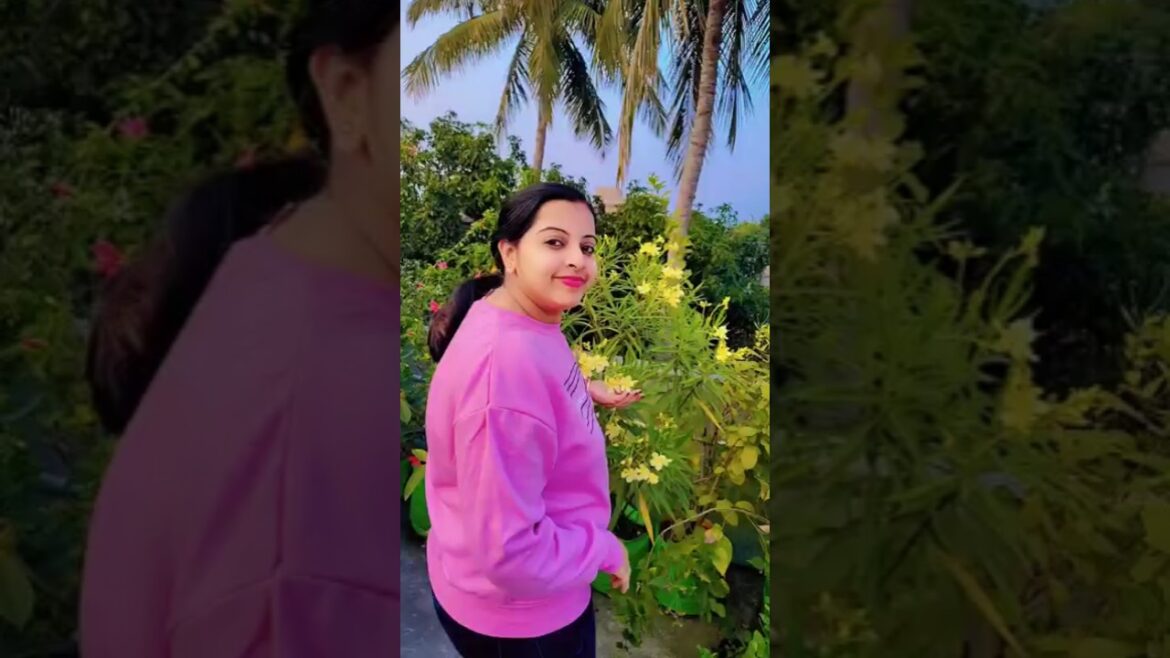 The Science of Yellow Flowers#minivlog #shorts