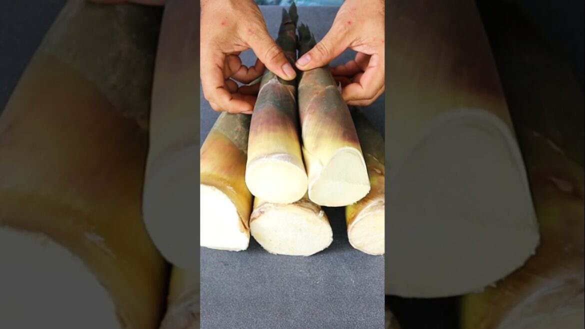 Container garden- Organic fertilizer from Bamboo shoots  #gardening #v87garden #shorts #fertilizer