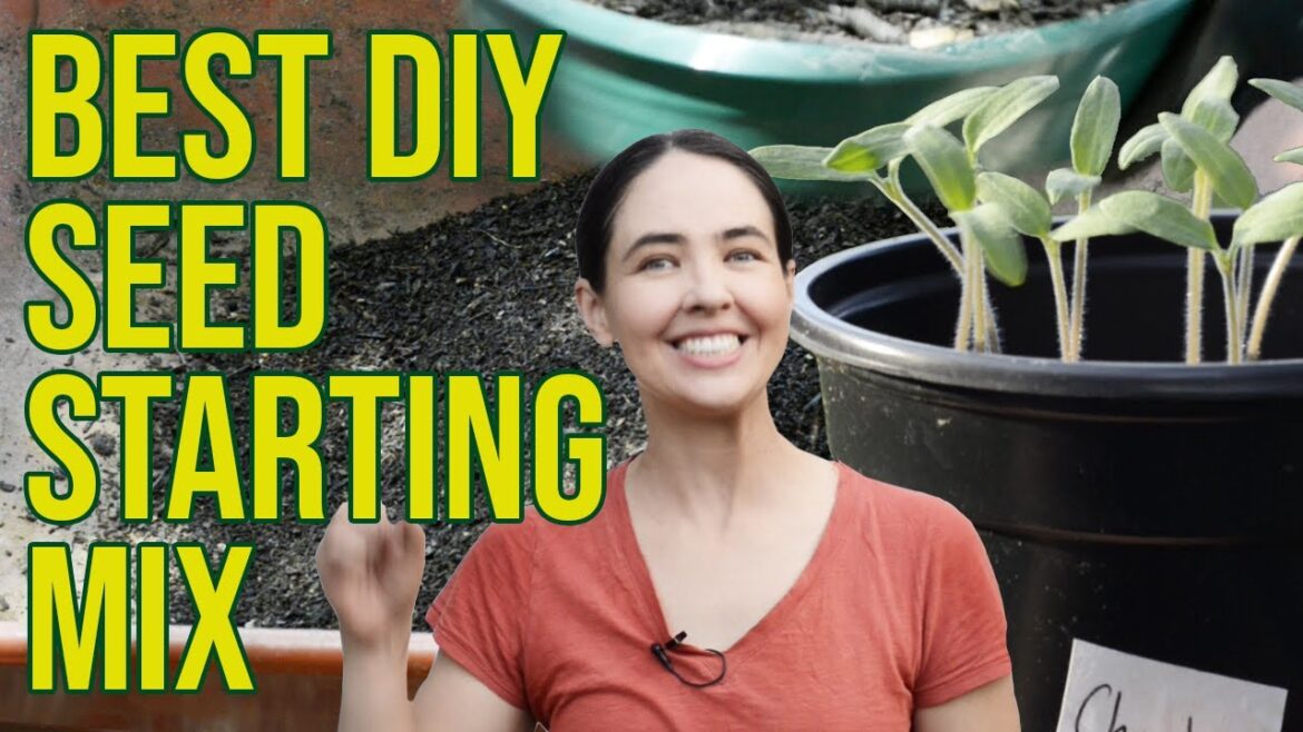 Best All Natural DIY Seed Starting Mix from Scratch for Free