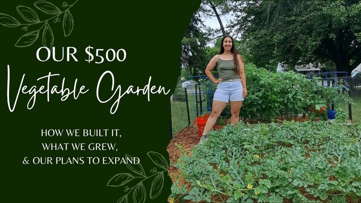 Organic Vegetable Gardening | Summer '24 Garden Recap