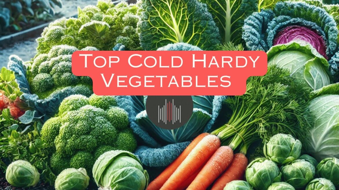 Top Cold-Hardy Vegetables To Grow