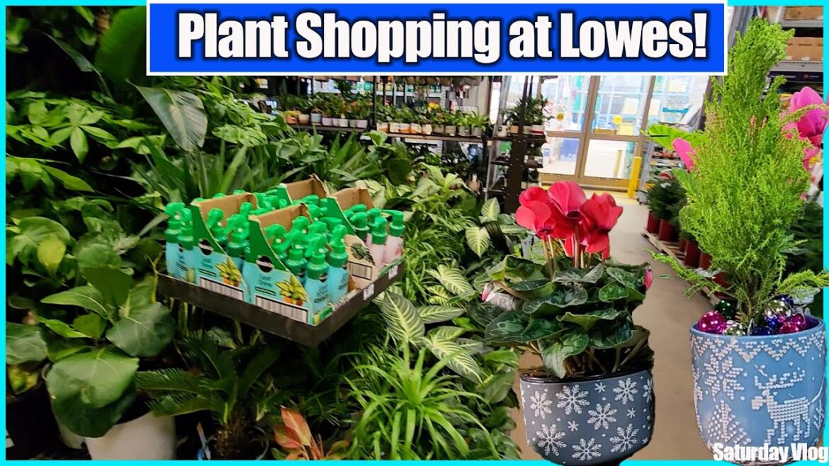 Shopping at Lowes || Houseplant Haul|| Making DIY Snow Caps For Pots || Saturday Vlog Shopping at Lowes || Houseplant Haul|| Making DIY Snow Caps For Pots || Saturday Vlog