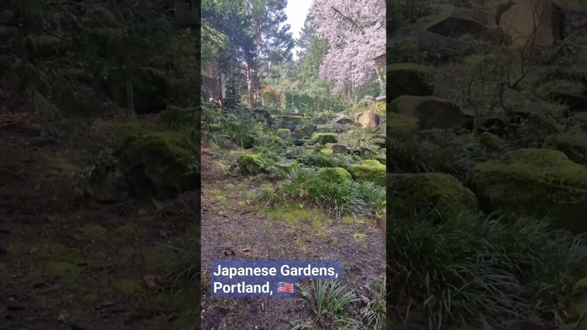 Shorts: entering the Portland Japanese Gardens