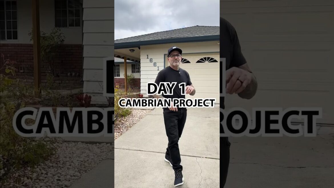 Cambrian Project Update: Exciting renovation changes ahead #HomeRenovation #CambrianProject