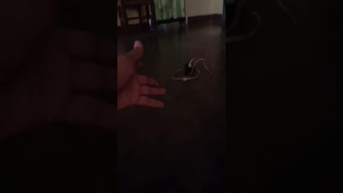 Magic Fun #shorts #magic #funny #comedy #fun #funcky