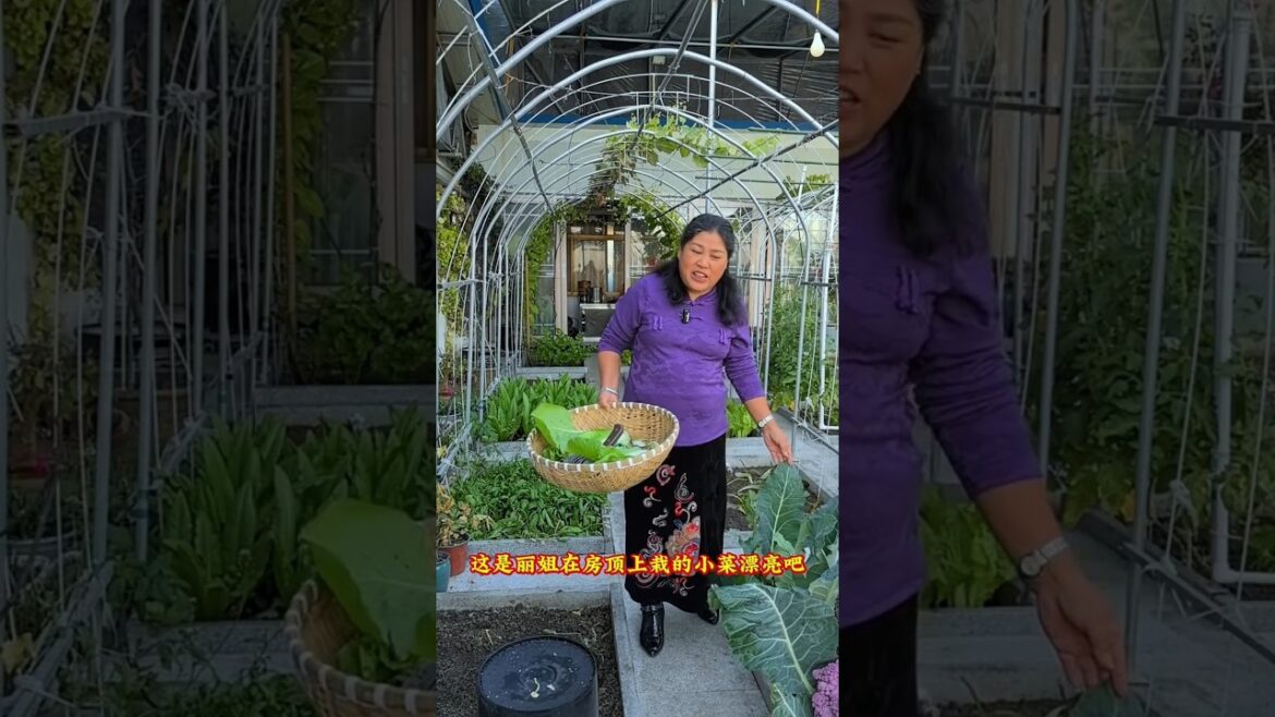 Vegetables for today's cooking #shots #youtubeshorts