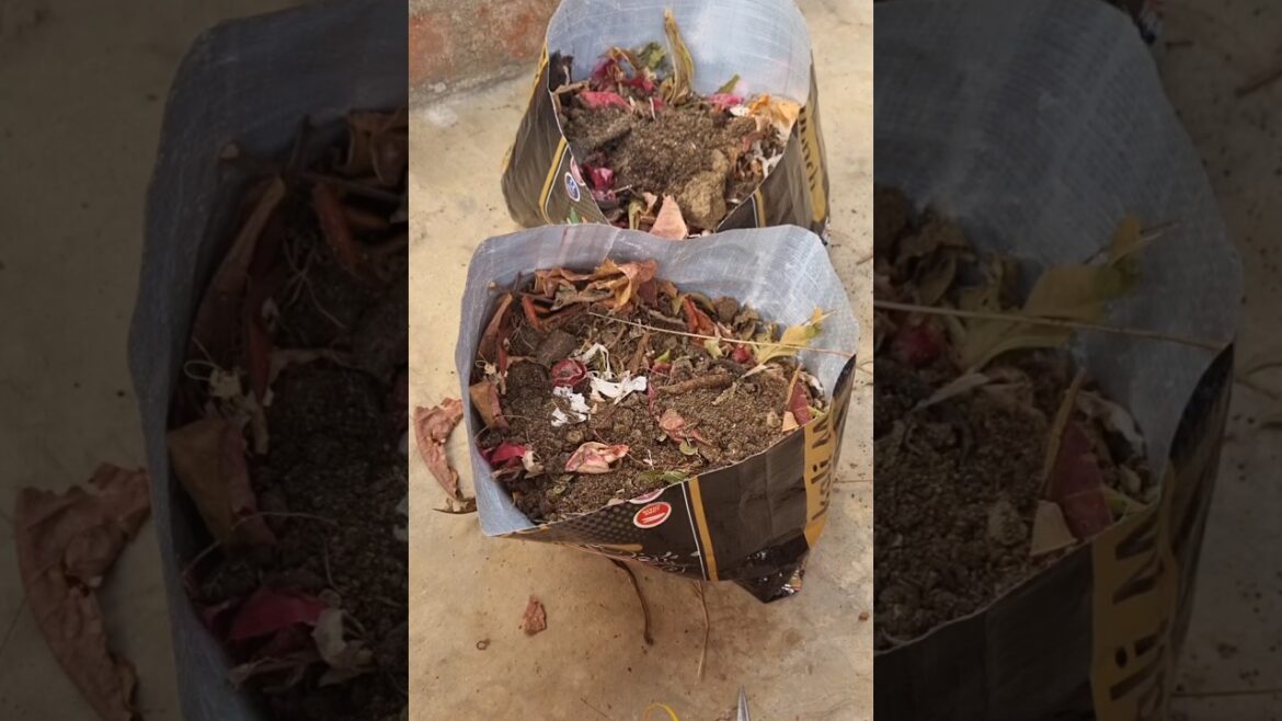 Home made grow bag #easy make #gardening tips #viralshorts #trending #bangla #ytshort #Brinjal plant