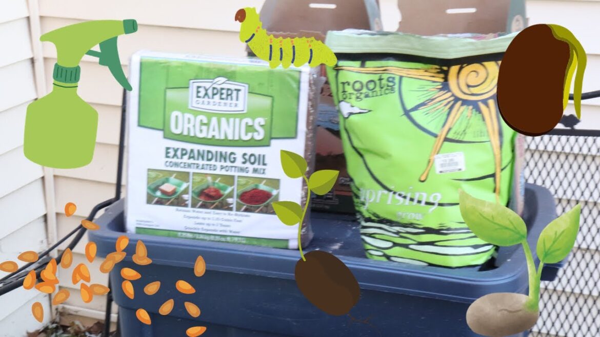 Make Your Own Organic Seed Starting Soil Mix✨ A Step By Step Guide Make Your Own Organic Seed Starting Soil Mix✨ A Step By Step Guide