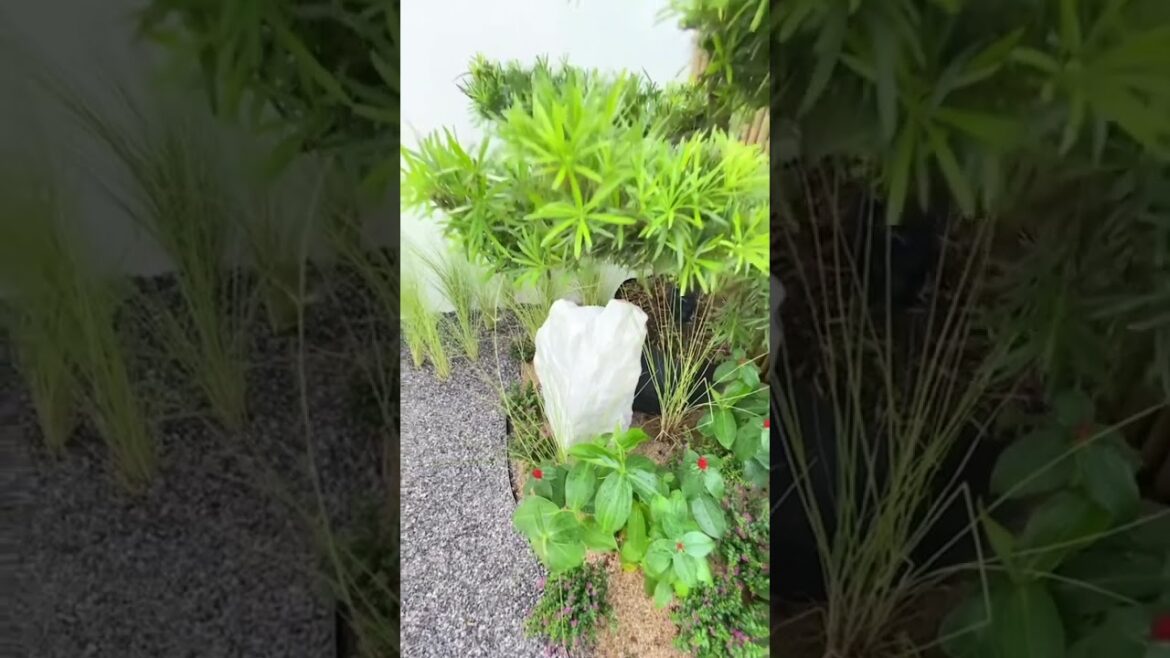 Baan Somdul Hua Hin Village