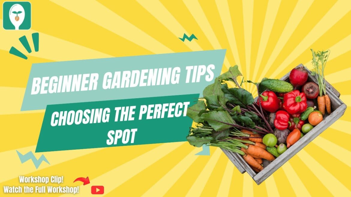 Beginner Gardening Tips: How to Choose the Perfect Garden Spot 🌱