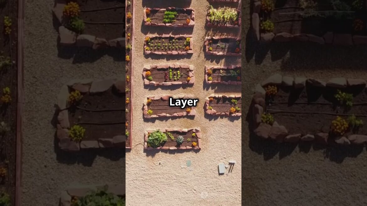 Quick Landscaping Tips to Transform Your Yard  #garden #gardening #gardeningideas #gardengingtips