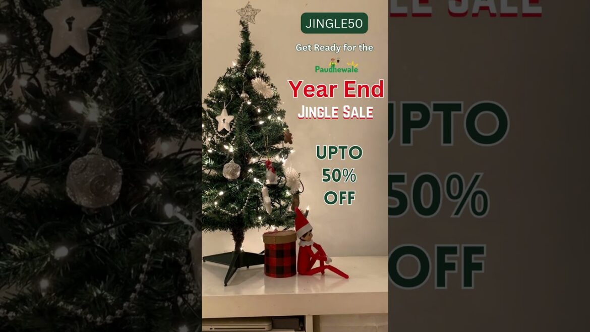 Year End Sale | Buy Plants on Big Discounts #paudhewale #sale #plants #roseplants #rose #short
