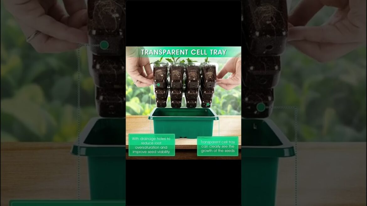 Greenhouse Growing LED Light Nursery Pots #garden #gardening #trending Greenhouse Growing LED Light Nursery Pots #garden #gardening #trending