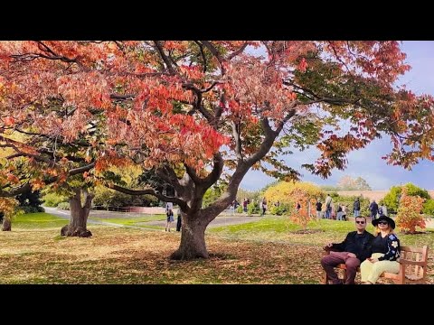 Royal Tasmanian Botanical Gardens – Japanese Garden – Anniversary Arch -Subantarctic Plant House Royal Tasmanian Botanical Gardens - Japanese Garden - Anniversary Arch -Subantarctic Plant House