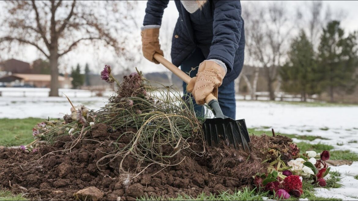 Mid-Winter Flower Bed Cleanup Essential Tips for Healthy Plants!