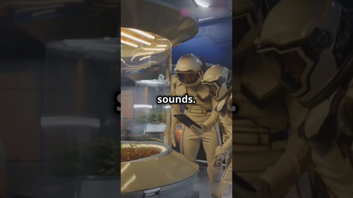 🌱 The First Plant to Grow in Space—It’s Not What You Think! 🚀 #shorts #space #facts 🌱 The First Plant to Grow in Space—It’s Not What You Think! 🚀 #shorts #space #facts