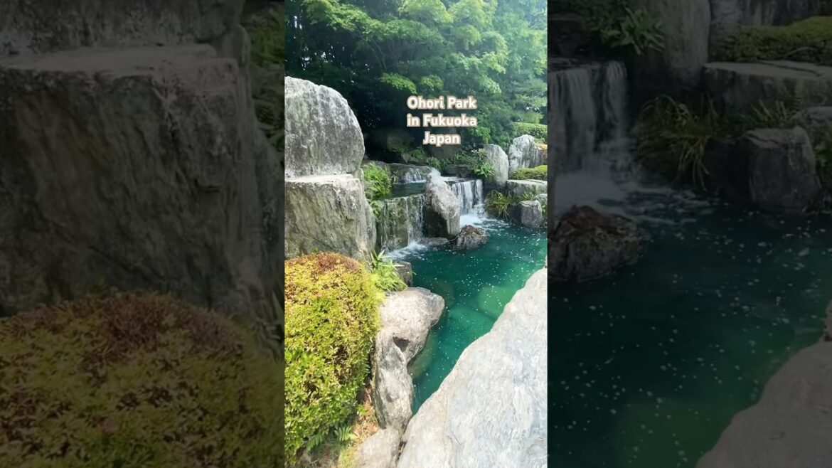 Beautiful Japanese garden in Fukuoka, Japan! #japan #beautiful #garden #travel #travelvlog #nature
