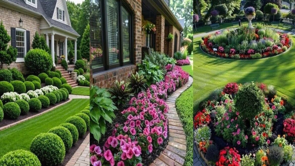 Gardening ideas for home | Outdoor landscape design ideas | Amazing garden ideas | landscaping ideas