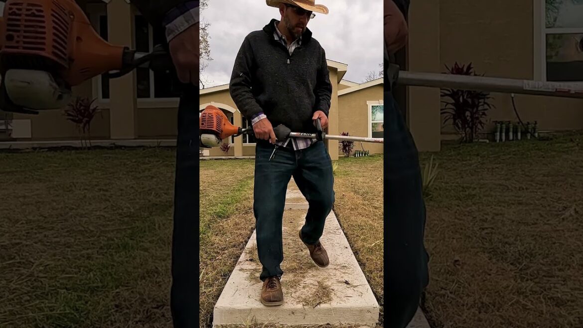 Ultimate Lawn Transformation: Mowing, Edging, and Leaf Cleanup | Satisfying Lawn Care short 06 Ultimate Lawn Transformation: Mowing, Edging, and Leaf Cleanup | Satisfying Lawn Care short 06