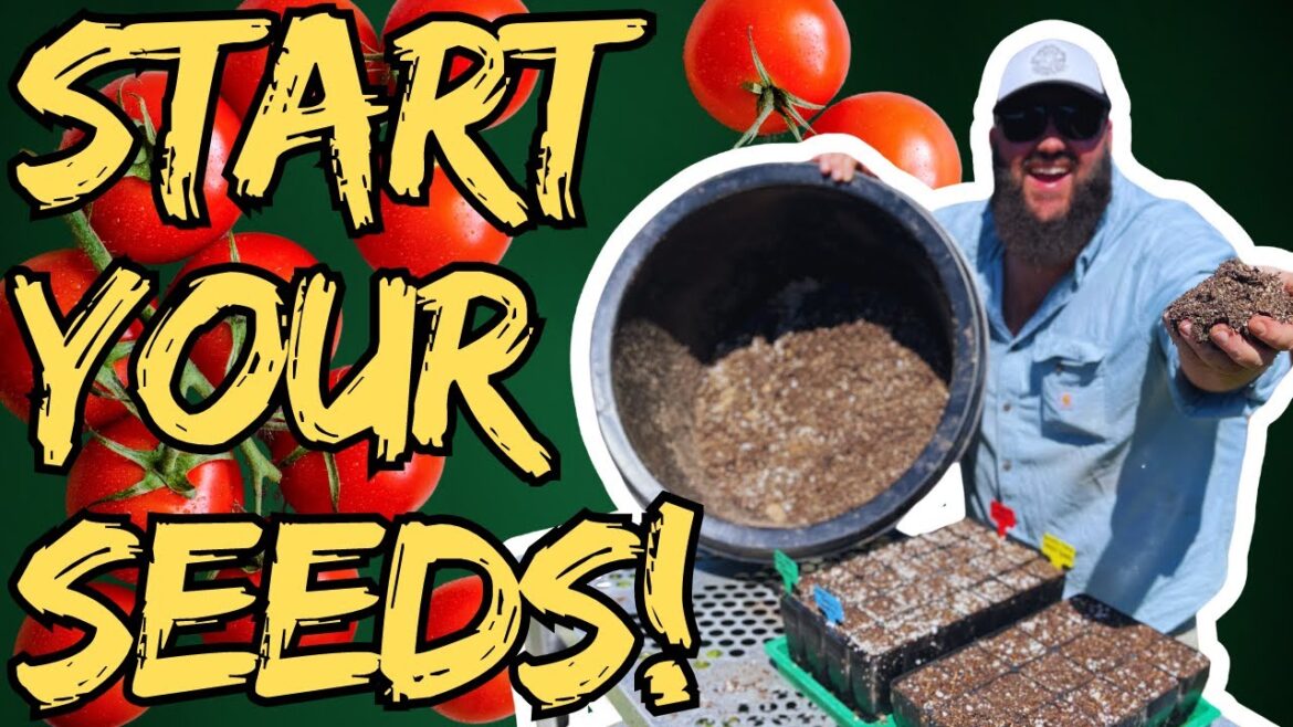 Start Your Fall Garden Seeds Now! | Save Money with My DIY Seed Starting Mix!