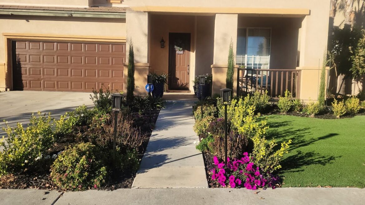 December Front Yard Garden Tour – Zone 10 Southern California December Front Yard Garden Tour - Zone 10 Southern California