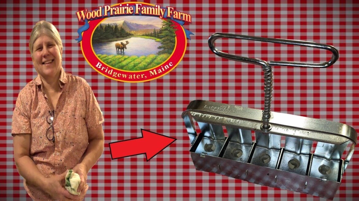 Soil Blocks Make Starting Your Garden Easy Soil Blocks Make Starting Your Garden Easy