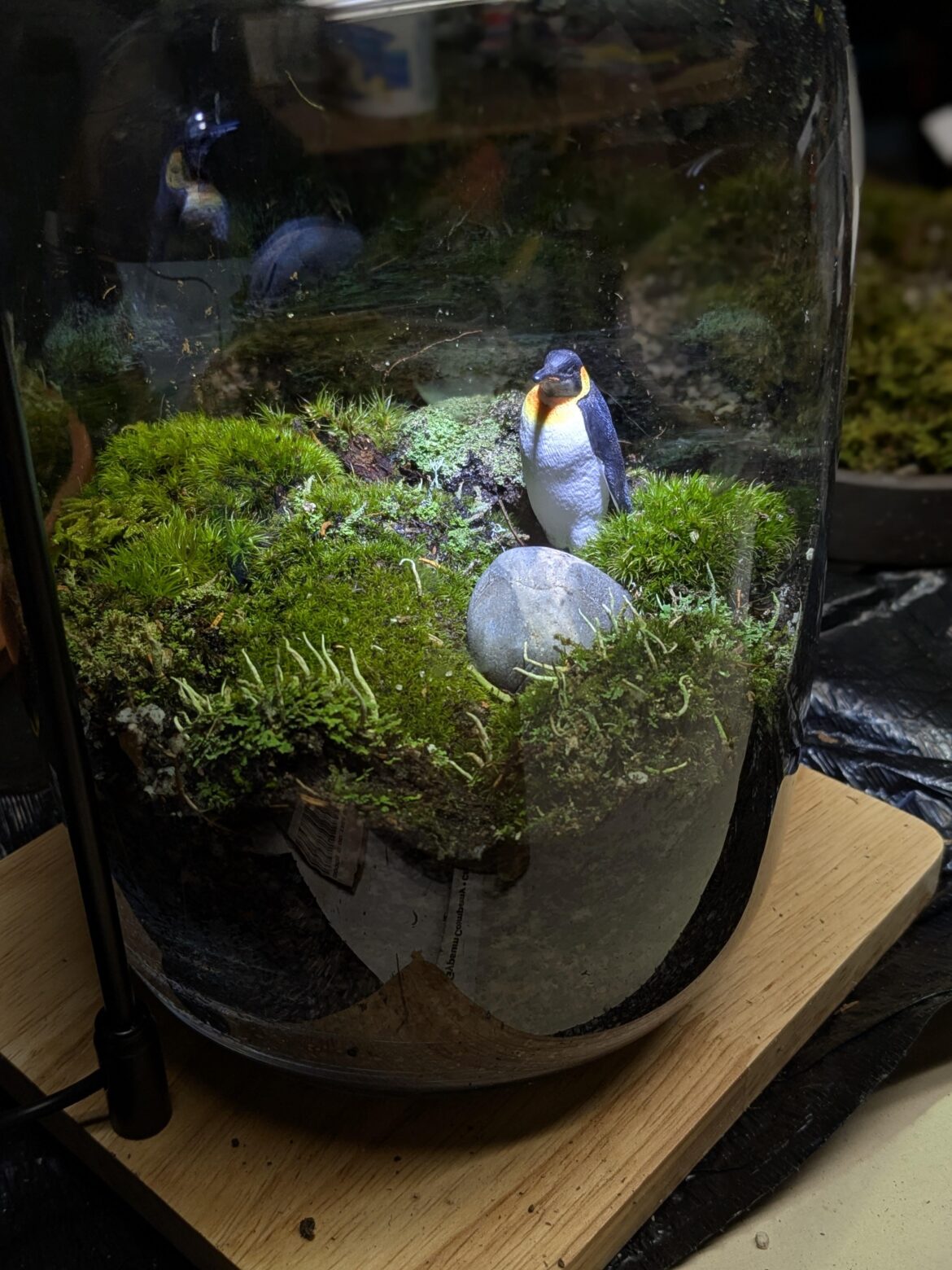 Penguin!