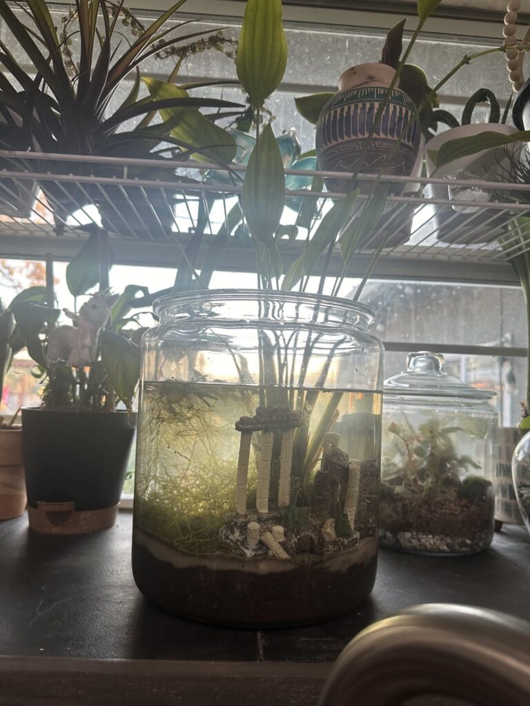 Recommendations for this 2.5 gal?