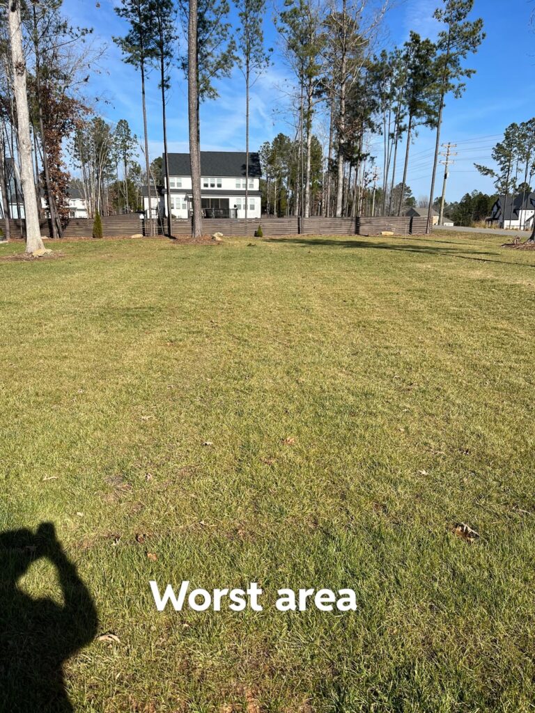 Yellow/ brown TTTF winter lawn. Yellow/ brown TTTF winter lawn.