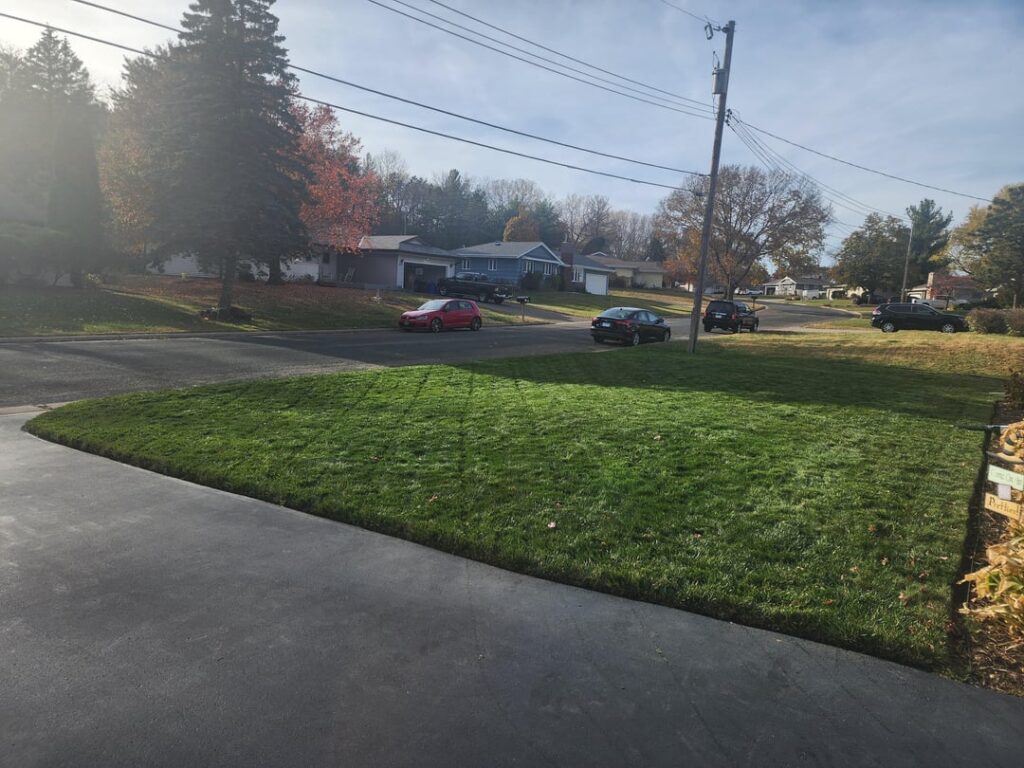 I think I did the thing. Thanks /r/lawncare!