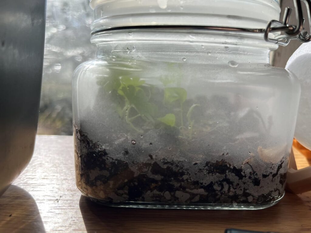 first jar!