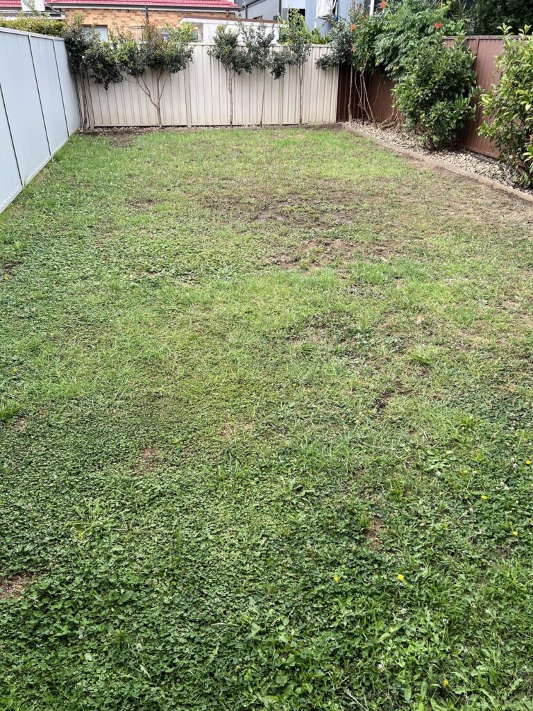 Guildford, Western Sydney – advice on maximizing the potential here? Guildford, Western Sydney - advice on maximizing the potential here?