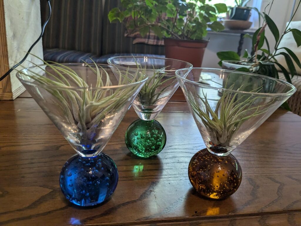 Are these a bad choice holders for my plants?