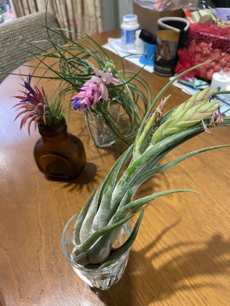 Some new ones for the collection.