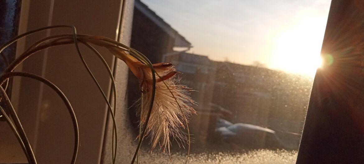 Nice surprise this morning 😊