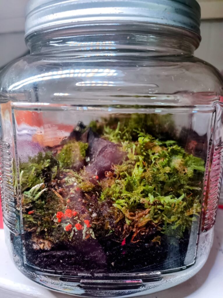 Just started this jar
