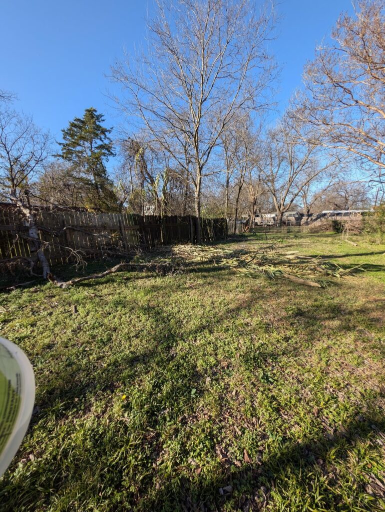 Any advice for getting rid of bamboo? Any advice for getting rid of bamboo?