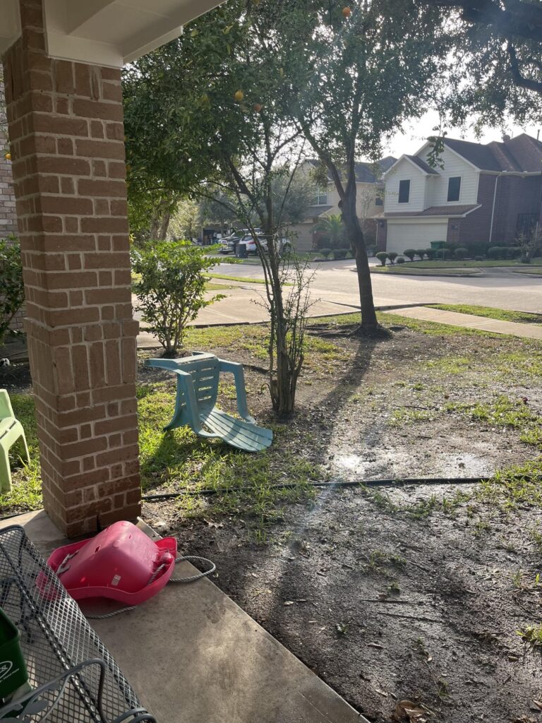 first time seeding a very bare lawn
