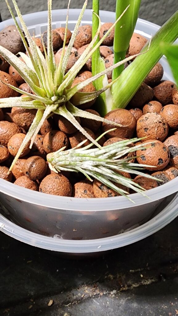 I don't think these look good