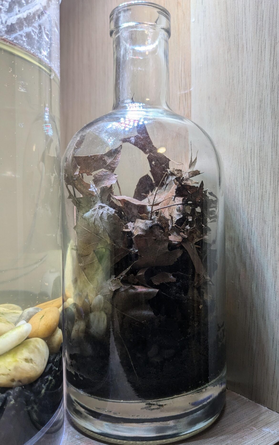 My first isobod jar