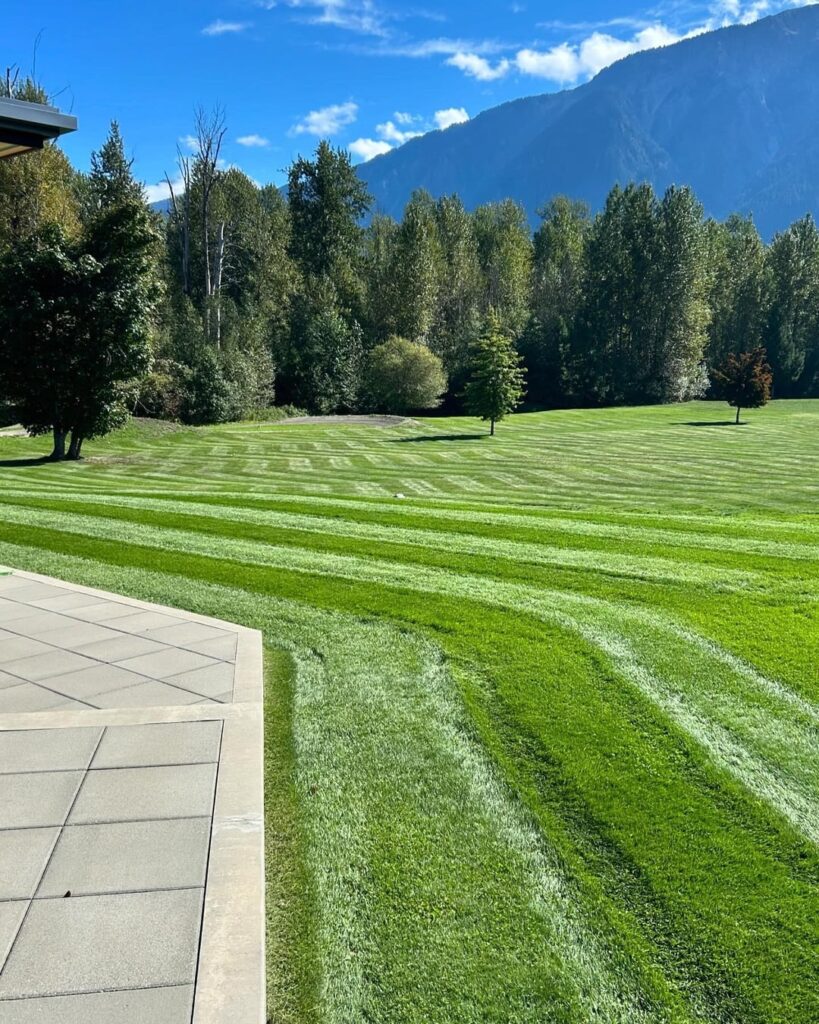 Lawn stripes