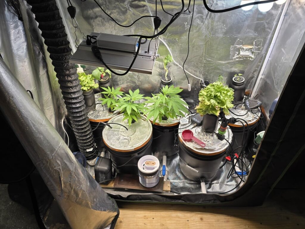 First time going good so far with my DIY setup